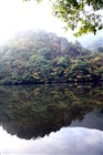 dailyPhoto30